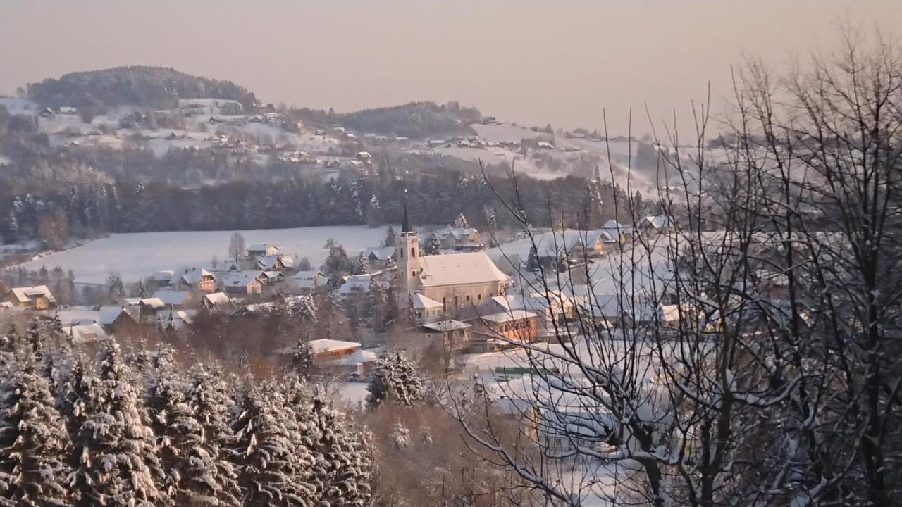 Gaestehaus Der Gamser Winzerstube Bad Gams Экстерьер фото