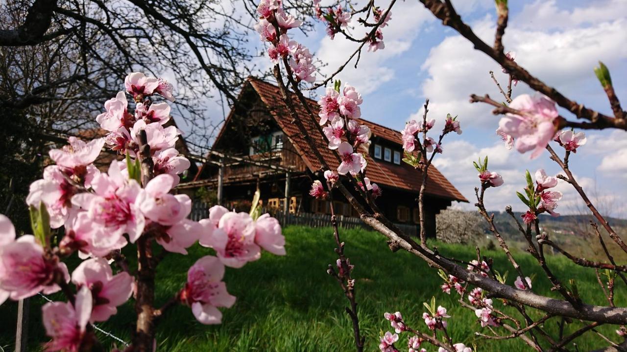 Gaestehaus Der Gamser Winzerstube Bad Gams Экстерьер фото